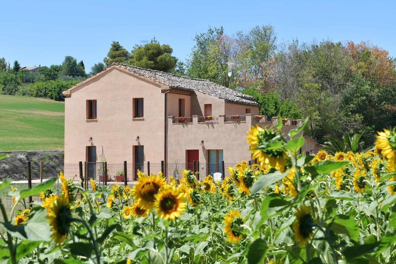 Casa Montefiore 13 Girasoli Lt Nella Tranquilla Campagna Marchigiana Ανκόνα Εξωτερικό φωτογραφία