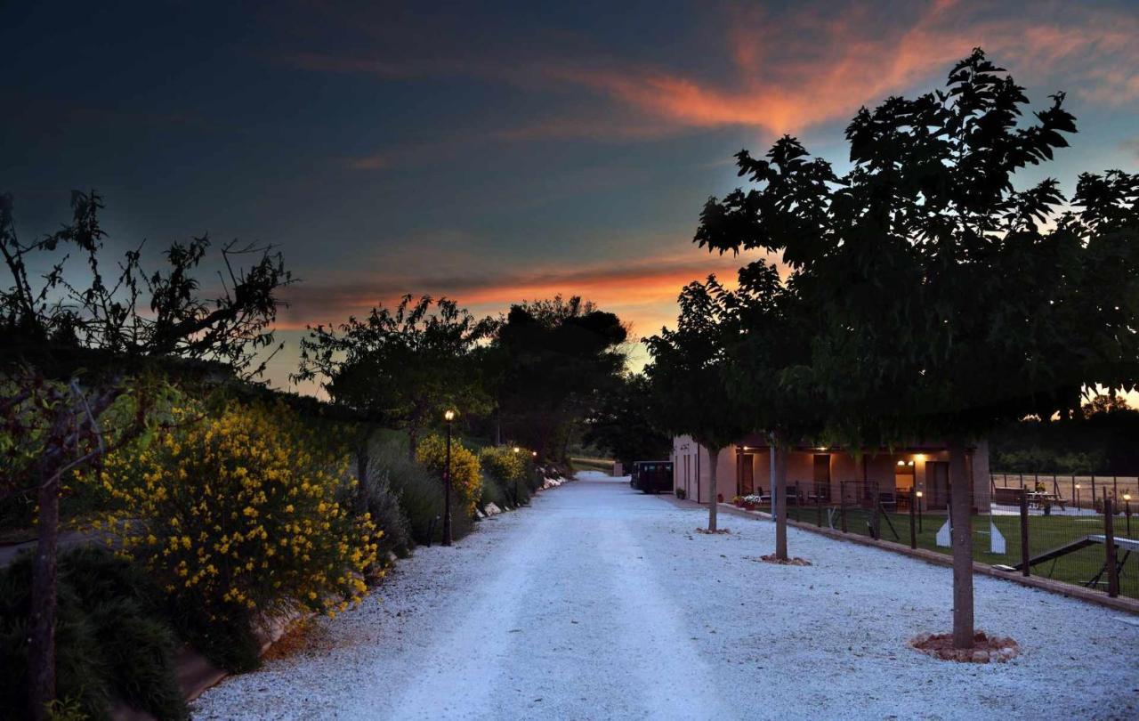 Casa Montefiore 13 Girasoli Lt Nella Tranquilla Campagna Marchigiana Ανκόνα Εξωτερικό φωτογραφία