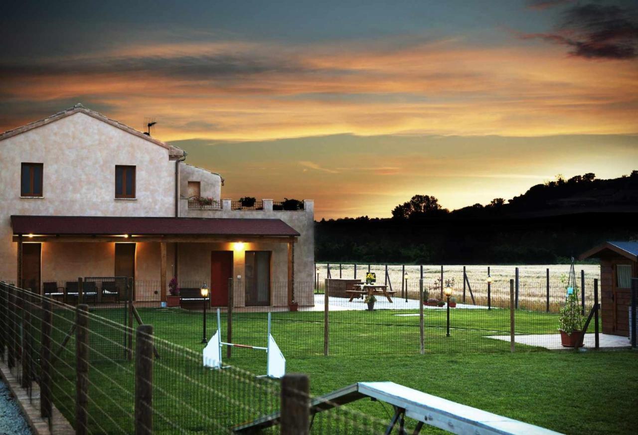 Casa Montefiore 13 Girasoli Lt Nella Tranquilla Campagna Marchigiana Ανκόνα Εξωτερικό φωτογραφία