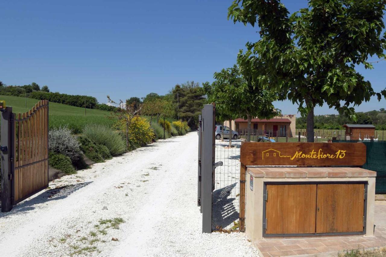 Casa Montefiore 13 Girasoli Lt Nella Tranquilla Campagna Marchigiana Ανκόνα Εξωτερικό φωτογραφία