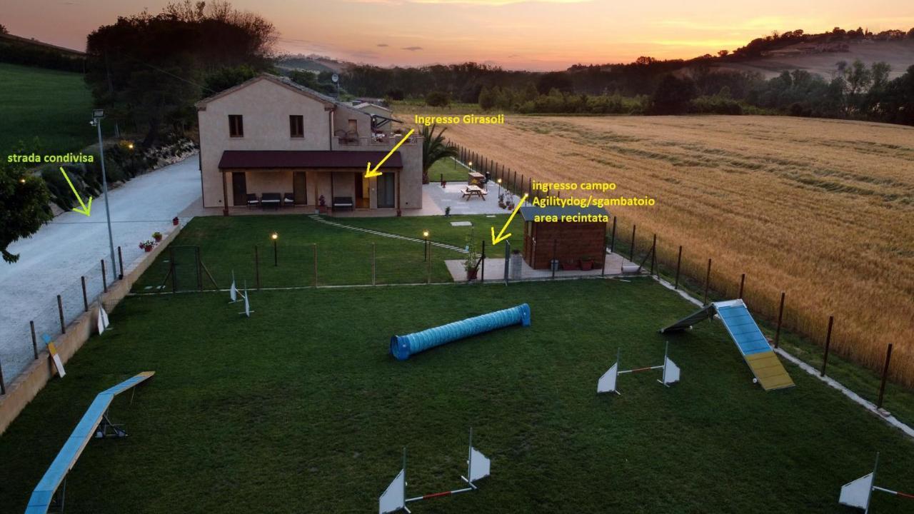 Casa Montefiore 13 Girasoli Lt Nella Tranquilla Campagna Marchigiana Ανκόνα Εξωτερικό φωτογραφία